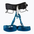 Imbracatura da arrampicata Black Diamond Momentum kingfisher da uomo