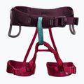 Imbracatura da arrampicata per bambini Black Diamond Momentum wild rose