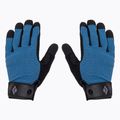 Guanti da arrampicata Black Diamond Crag blu astrale 3