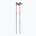 Bastoncini da trekking Black Diamond Trail Sport Trek octane 2
