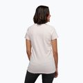 Maglietta da arrampicata donna Black Diamond Leveled Landscape rosa ghiaccio 2