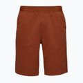Pantaloncini Black Diamond Sierra burnt sienna da uomo 4