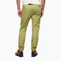 Pantaloni da arrampicata da uomo Black Diamond Notion Pants verde cedro 3