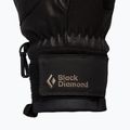 Guanti da trekking Black Diamond Spark nero/nero 2