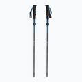 Black Diamond Distance Carbon Flz bastoncini da trekking per il cielo del deserto 5