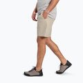 Pantaloncini da uomo Black Diamond Sequence moonstone 3