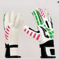 Guanti da portiere Joma Premier bianco/verde 5