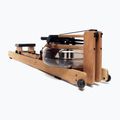 Vogatore WaterRower Oxbridge S4 Cherry 5