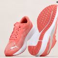PUMA Aviator Profoam Sky scarpe da corsa rosa garofano/puma bianco 15