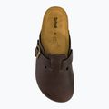 Scholl Olivier Synkan infradito da uomo marrone 5