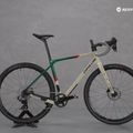 Cipollini Ago DB 23 Rival XPLR-Rapid RED-AWING sabbia/verde/rosso lucido gravel bike 7