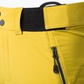 Pantaloni softshell da uomo La Sportiva Excelsior moss 3