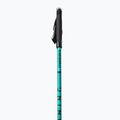 Bastoncini da nordic walking Masters Allenamento con bastoncini da nordic walking 2