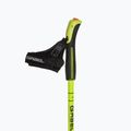 Bastoncini da nordic walking GABEL Light NCS verde 7009341361050 2