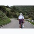 Pantaloncini da ciclismo da uomo Northwave Fast Bibshort grape wine 5