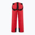 Pantaloni da sci Colmar Sapporo-Rec uomo rosso inglese 2