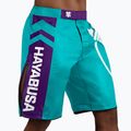 Pantaloncini da allenamento Hayabusa Icon Fight verde/bianco 2