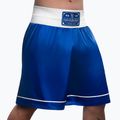 Pantaloncini da allenamento Hayabusa Pro Boxing blu 2