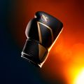 Guantoni da boxe Hayabusa E1 Boxing black/gold 8