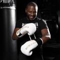 Guantoni da boxe Hayabusa Mayweather Champ bianco/oro 6