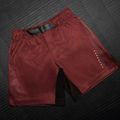 Pantaloncini da allenamento uomo Hayabusa Apex Fight 3/4 red 3