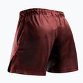 Pantaloncini da allenamento uomo Hayabusa Core Fight Mid red 2