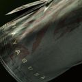 Pantaloncini da allenamento uomo Hayabusa Apex Fight Mid green 7