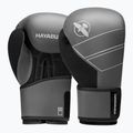 Guantoni da boxe Hayabusa S4 Leather grey