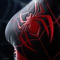 Guantoni da boxe Hayabusa Marvel Miles Morales 4