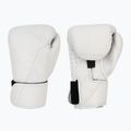 Guantoni da boxe Hayabusa T360 Leather white