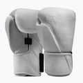 Guantoni da boxe Hayabusa T360 Leather white
