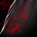 Pantaloncini da allenamento uomo Hayabusa X UFC BJJ Grappling red 4