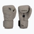 Guanti da boxe in ardesia Hayabusa T3 LX