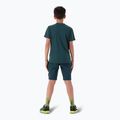 Maglietta CMP per bambini 38T6744 alpine 3