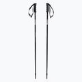 Bastoncini da sci da donna Nordica Alpine TI Woman 16 MM nero/argento