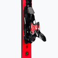 Sci da discesa Nordica Dobermann Spitfire 72 RB + attacchi XCELL 12 FDT nero/rosso 7