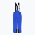 Pantaloni da sci da uomo EA7 Emporio Armani Pure Protectum 7 new royal 7