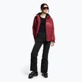 Pantaloni da sci da donna Dainese Hp Scree nero 2