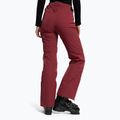 Pantaloni da sci donna Dainese Hp Scree jam viola 4