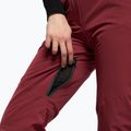 Pantaloni da sci donna Dainese Hp Scree jam viola 6
