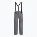 Pantaloni da sci da uomo Dainese Hp Ridge castle rock