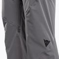 Pantaloni da sci da uomo Dainese Hp Ridge castle rock 3