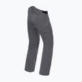 Pantaloni da sci da uomo Dainese Hp Ridge castle rock 5
