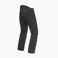 Pantaloni da sci Dainese Dermizax Ev stretch/limo da uomo 2