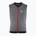 Gilet da uomo Dainese Flexagon 2 gilet protettivo in filigrana d'argento/castello di roccia 7