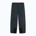 Pantaloni da sci da uomo Oakley Baldface Pro Gore-Tex graphite 7