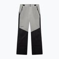 Pantaloni da sci da uomo Oakley Canopy Pro Insulated Pitch Black/Cement 6