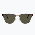 Occhiali da sole Ray-Ban Clubmaster Classic tortoiseshell/gold 2