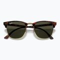 Occhiali da sole Ray-Ban Clubmaster Classic tortoiseshell/gold 3