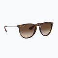 Occhiali da sole Ray-Ban Erika Classic matt havana/brown